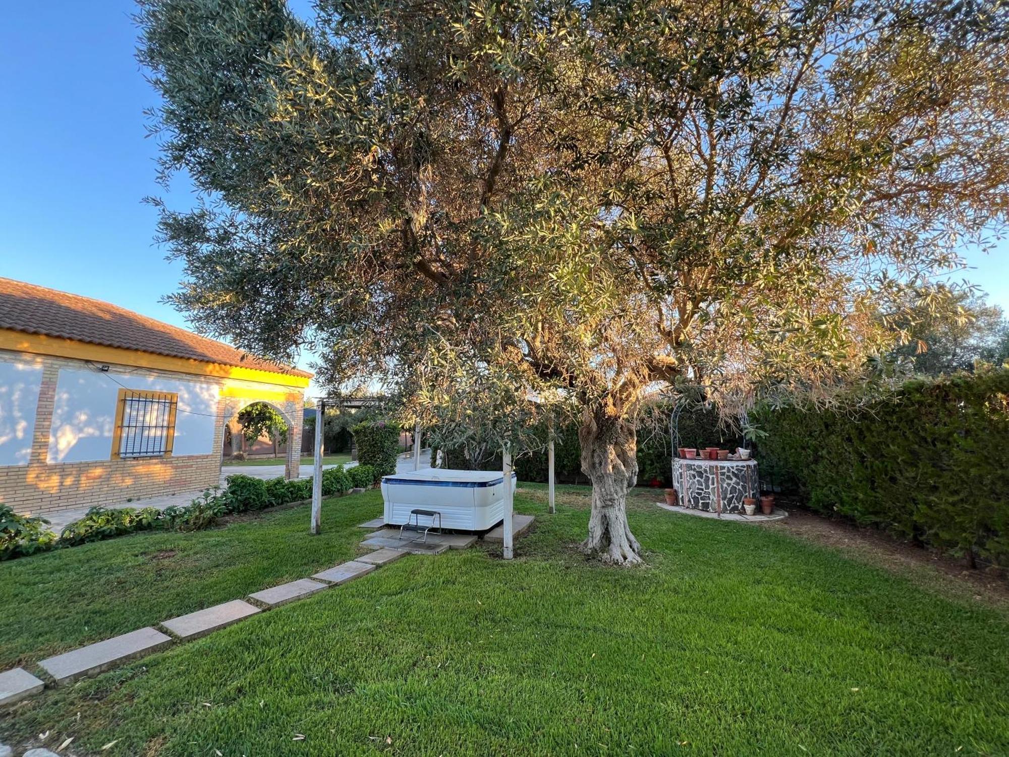 Chalet Piscina Jakuzzi Sevilla Hacienda de Tarazona Bagian luar foto